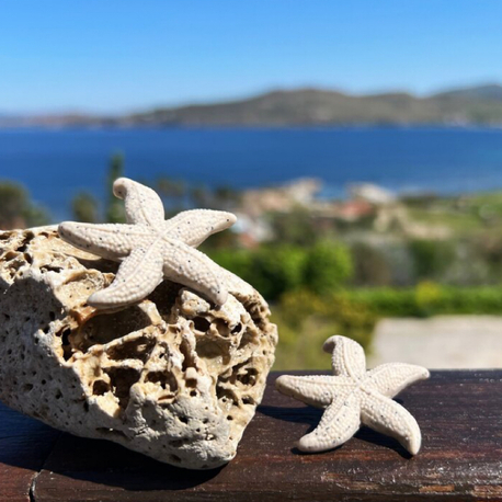 Asteri-D