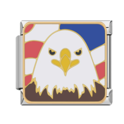 Kartal temalı charm