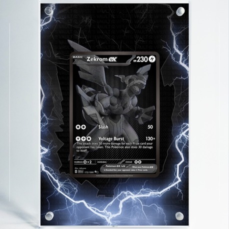 Zekrom ex 2 - Black Bolt - Extended Art Display
