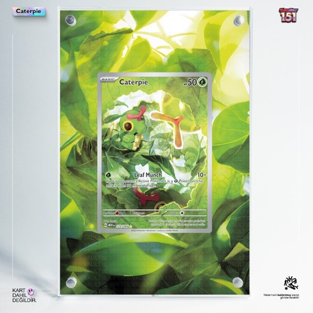 Caterpie 151 - Extended Art Display