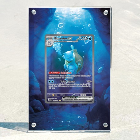 Blastoise EX 151 – Extended Art Display