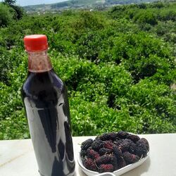 Karadut Özü 