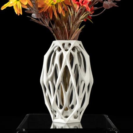 Voronoi Model WDM Vazo