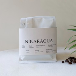 Nikaragua (Dünya Kahveleri)