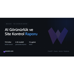 Weesdo AI Görünürlük Raporu