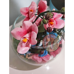 Seramik Orkide Terrarium 