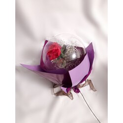 Cipsolu Balon Buket