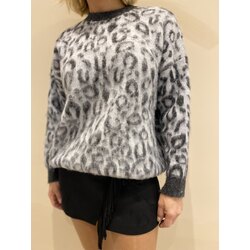 Leopar kazak 
