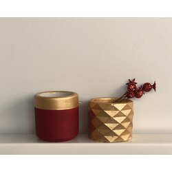 2’li Gold Saksı