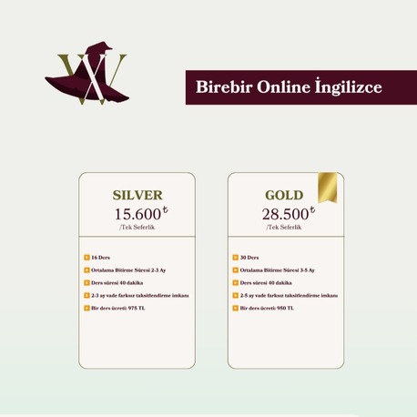 Birebir Online İngilizce Dersleri