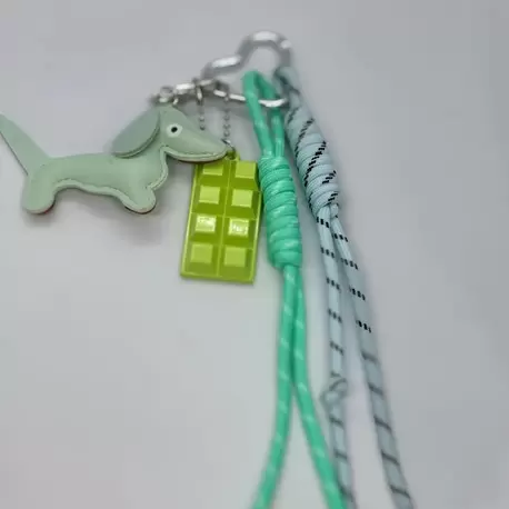 TURKUAZ KÖPEKLİ CHARM