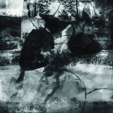 Umbilical to Nothingness (Digital)