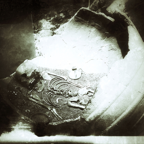 Rooted Bones I (Digital)