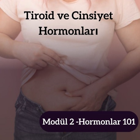 HORMONLAR 101 - MODÜL 2 - TİROİD VE CİNSİYET HORMONLARI 