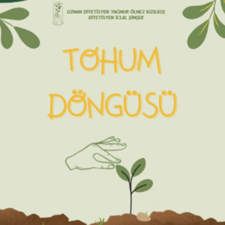 TOHUM DÖNGÜSÜ 