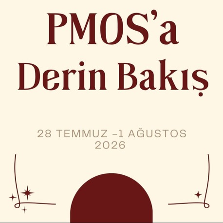 PMOS a Derin Bakış 