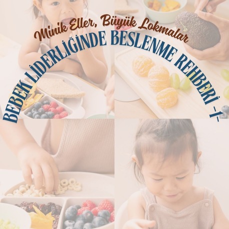 Minik Eller, Büyük Lokmalar - Bebek Liderliğinde Beslenme Rehberi 
