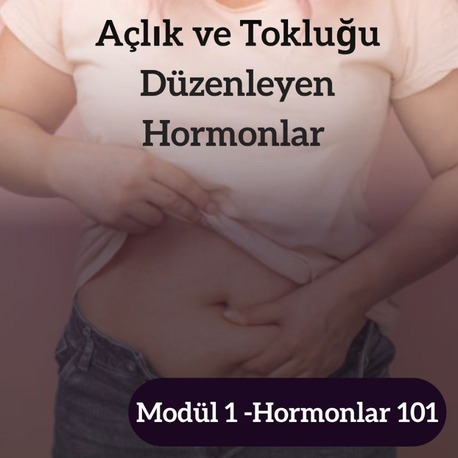 HORMONLAR 101 - MODÜL 1 - AÇLIK TOKLUĞU DÜZENLEYEN HORMONLAR 