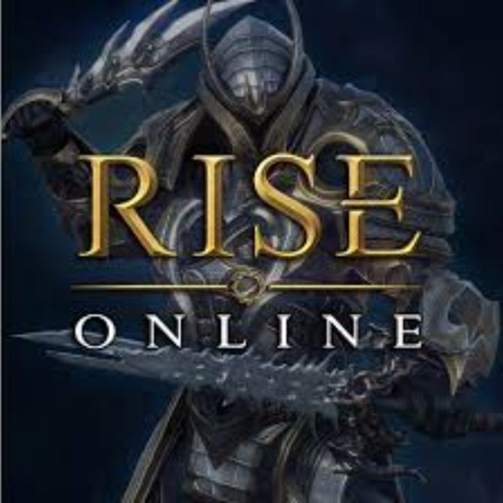 Rise Online VMWARE 1x Lisans