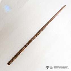 Hermione Granger Asası