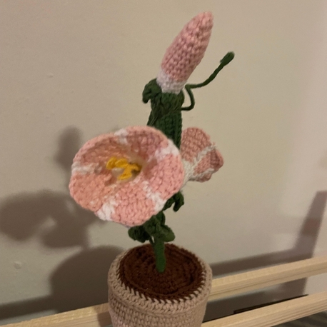 Saksıda El Yapımı Sabah Sefası - Sevimli Amigurumi Dekor