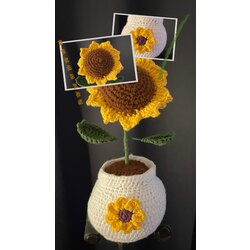 Solmayan Saksıda Mini Ayçiçeği - Saksıda El Örgüsü Dekoratif Çiçek & Hediye