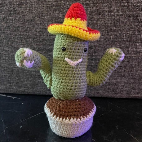 El Örgüsü Meksika Şapkalı Kaktüs - Tasarım Amigurumi Oyuncak & Hediye 