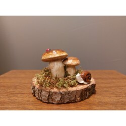 Porçini / Boletus Edulis Ahşap Dikey Dekor İkili