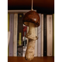 Asılı Porçini / Boletus Edulis 