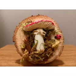 Sinek mantarı - Amanita Muscaria