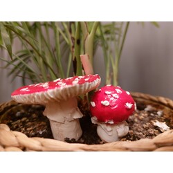 Amanita Muscaria / Sinek Mantarı Saksı Dekoru İkili