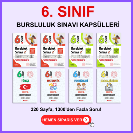 6. SINIF BURSLULUK KAPSÜLÜ