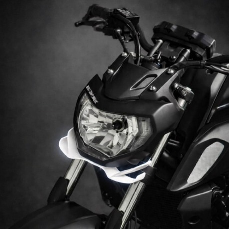 Yamaha MT 07 GEN 2 (18-20) Far Winglet 3D