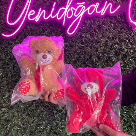 KÜÇÜK PELUŞ AYICIK