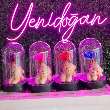 SONSUZLUK GÜLÜ TEARYUM AYICIK