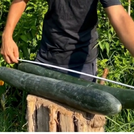 10 adet, Vietnam salatalık 