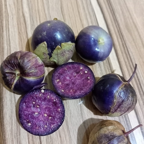 20 adet, Mor tomatillo