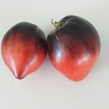 10 adet, SGT peppers tomato