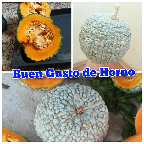 10 adet, Buen Gusto de Horno kabak