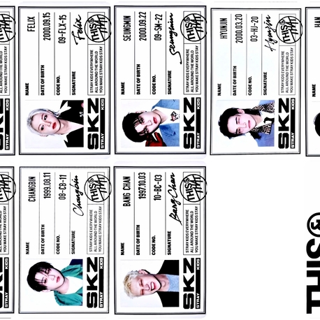 Stray Kids This & That ID VERS Fotokart