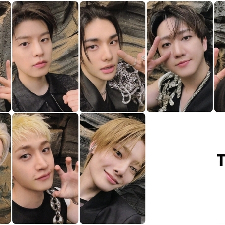 Stray Kids This & That POB VERS Fotokart
