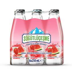 Sögütĺü Çeşme Soda Nar karbuz 6li