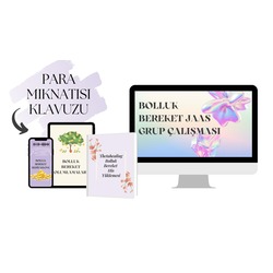 PARA MIKNATISI KLAVUZU 