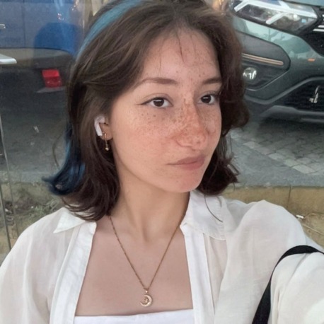 Ayşenur Çendek - Sayısal 1401