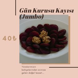 GÜN KURUSU KAYISI (Jumbo)