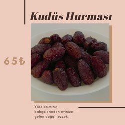 KUDÜS HURMASI