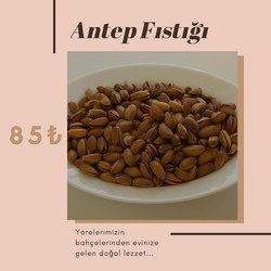 ANTEP FISTIĞI