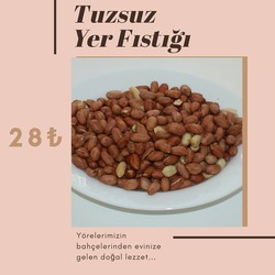 TUZSUZ YER FISTIĞI
