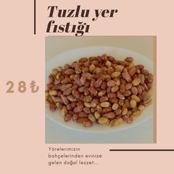 TUZLU YER FISTIĞI