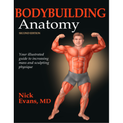 Bodybuılding Anatomisi